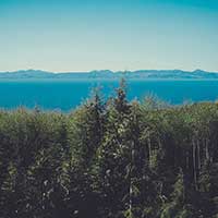 让您更省力的ddos攻击工具